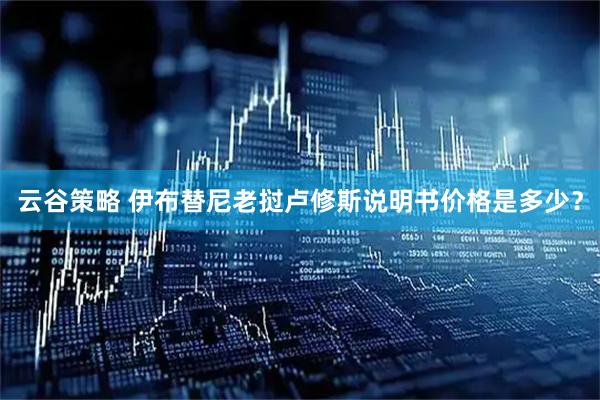 云谷策略 伊布替尼老挝卢修斯说明书价格是多少？