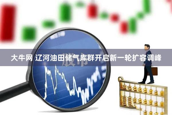 大牛网 辽河油田储气库群开启新一轮扩容调峰